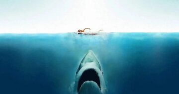 پوسیدن دندان کوسه هم تقصیر ماست!