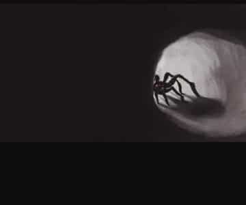 کابوس در غار |‌ سروکله عنکبوت‌ غول‌پیکر در معدن متروکه پیدا شد