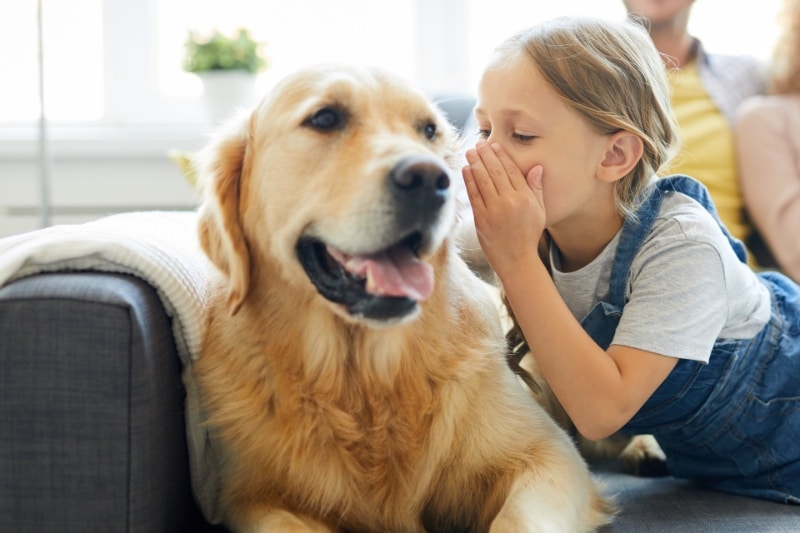 آیا می‌توان صحبت‌کردن را به سگ‌ها یاد داد؟