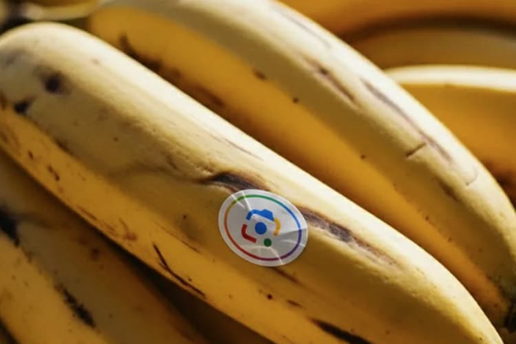 ادغام Nano Banana با NotebookLM و جست‌وجوی گوگل؛ مرزهای جدید خلاقیت با هوش مصنوعی