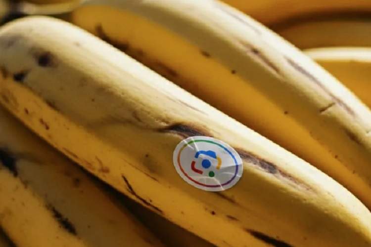 از ویدیوهای آبرنگی تا ویرایش چت‌محور تصاویر؛ گوگل کاربرد Nano Banana را گسترش می‌دهد