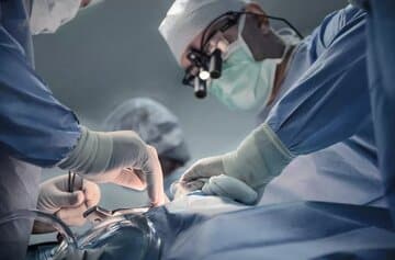 اولین پیوند موفق کبد خوک به انسان زنده در چین