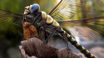 بدن حشره ۱۱۲ میلیون ساله سالم پیدا شد / کشفی شگفت‌انگیز