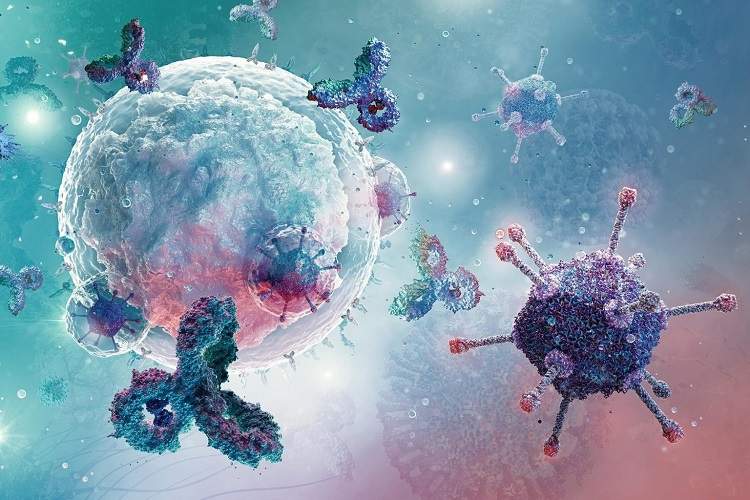 تحول در روند درمان سرطان با تبدیل «تومورهای سرد» به «تومورهای داغ»