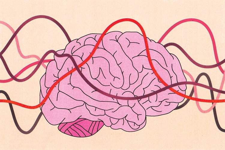 تحول مغز انسان در چرخه قاعدگی؛ تصویر جدید از اثر هورمون‌ها