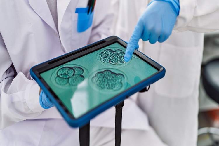 تولید سلول‌های تخمک از پوست انسان؛ گامی نوین در باروری آزمایشگاهی