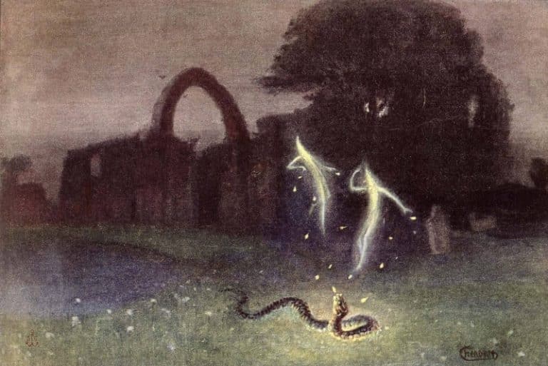 راز فانوس شیطان فاش شد؛ نورهای شبح‌گون مرداب اکنون توضیح علمی پیدا کرده‌اند