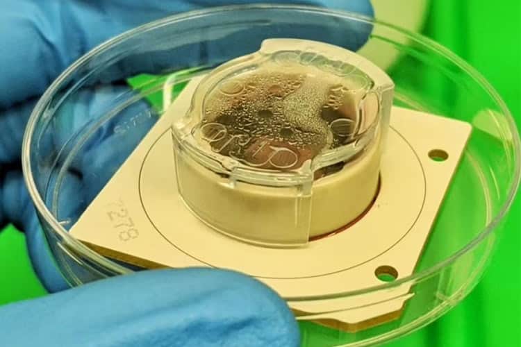 رایانه‌های زیستی بر پایه مغز طی ۱۰ سال هوش مصنوعی را متحول خواهند کرد