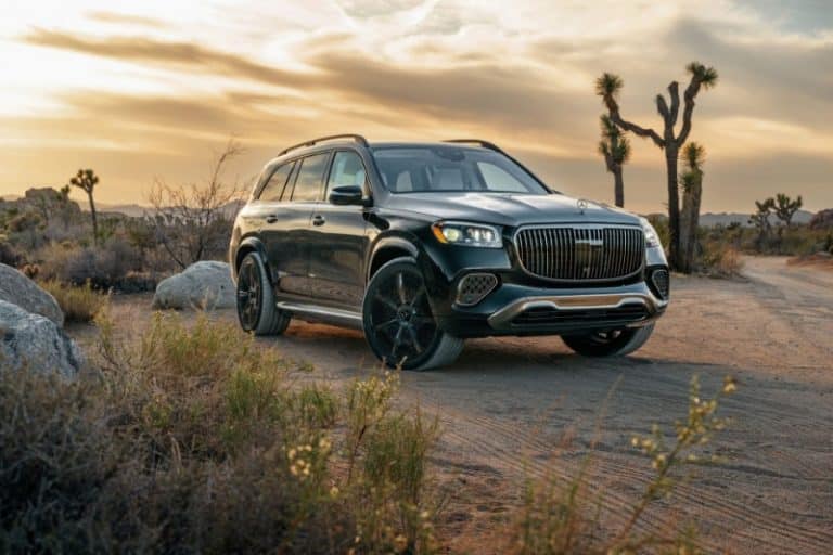 رقص معروف مرسدس میباخ در تهران! + ویدیو