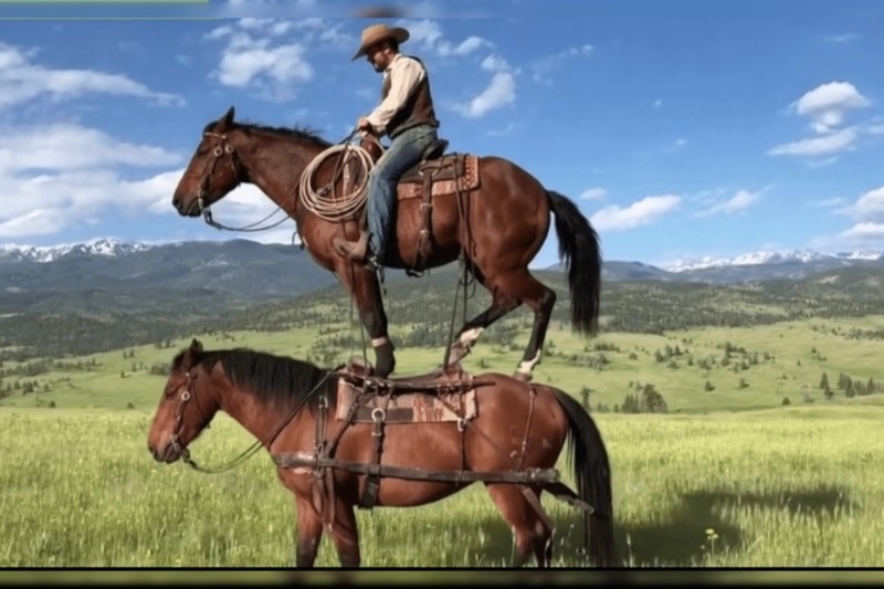 شبکه اجتماعی «سورا» معرفی شد؛ از دوستانتان ویدیو جعلی بسازید!