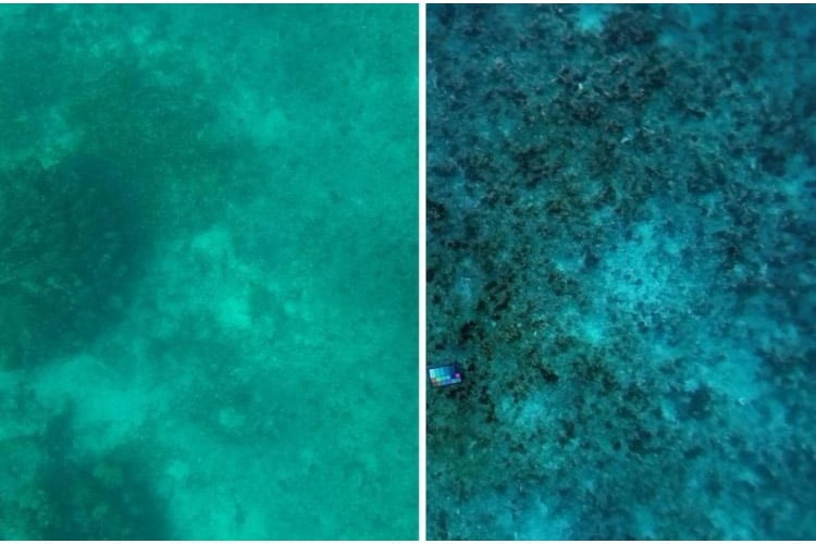 فناوری جدید MIT، زیر آب را همان‌طور که هست به نمایش می‌گذارد