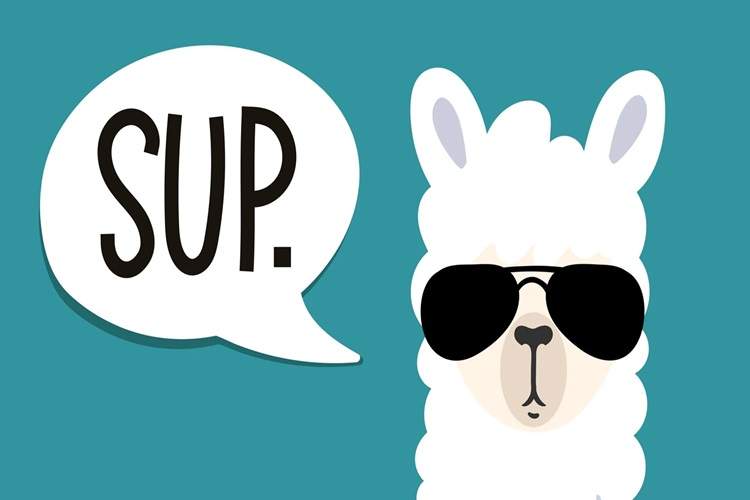 متا لاما؛ همه‌چیز درباره مدل هوش مصنوعی مولد و متن‌باز متا