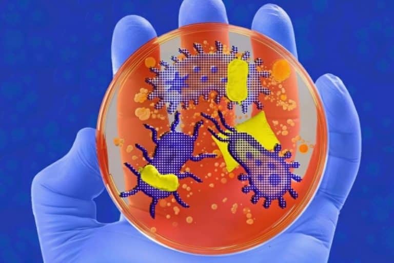 میکروب‌های بدنمان چگونه خواب ما را کنترل می‌کنند؟