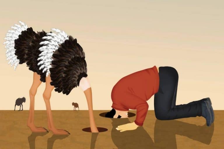 نادانی آگاهانه؛‌ چرا هرچه بزرگ‌تر می‌شویم، کمتر می‌خواهیم حقیقت را بدانیم؟