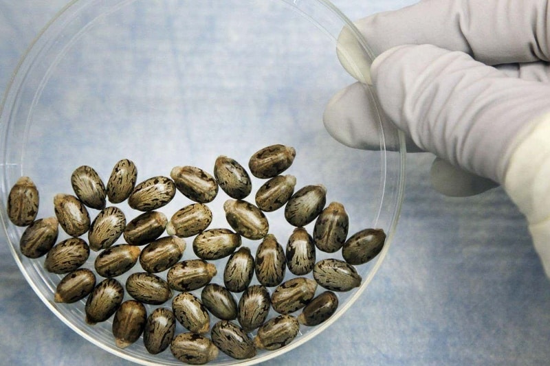 هوش مصنوعی و زیست‌تروریسم؛ آیا سلاح‌های زیستی هوشمند در راه هستند؟