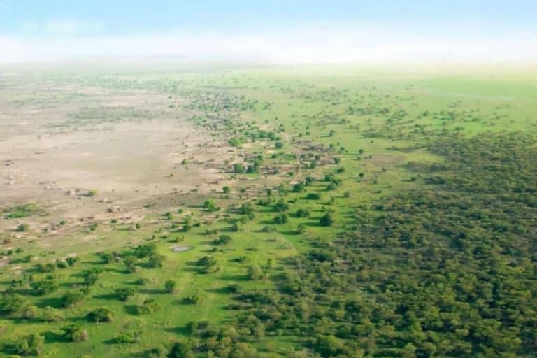 چه می‌شود اگر تمام بیابان‌های زمین ناپدید شوند؟