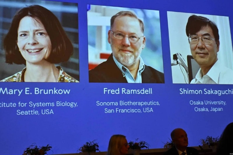 کاشفان سلول‌های نگهبان سیستم ایمنی، برنده جایزه نوبل پزشکی ۲۰۲۵ شدند