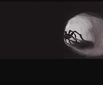 کشف عنکبوتی به اندازه توپ بیسبال در غارهای متروکه