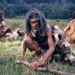 راز انقراض نئاندرتالها: یک مدل ریاضی جدید پاسخ میدهد