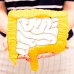 روده شما با شما سخن می‌گوید: درک سیگنال‌های حیاتی سیستم گوارش برای سلامت کلی