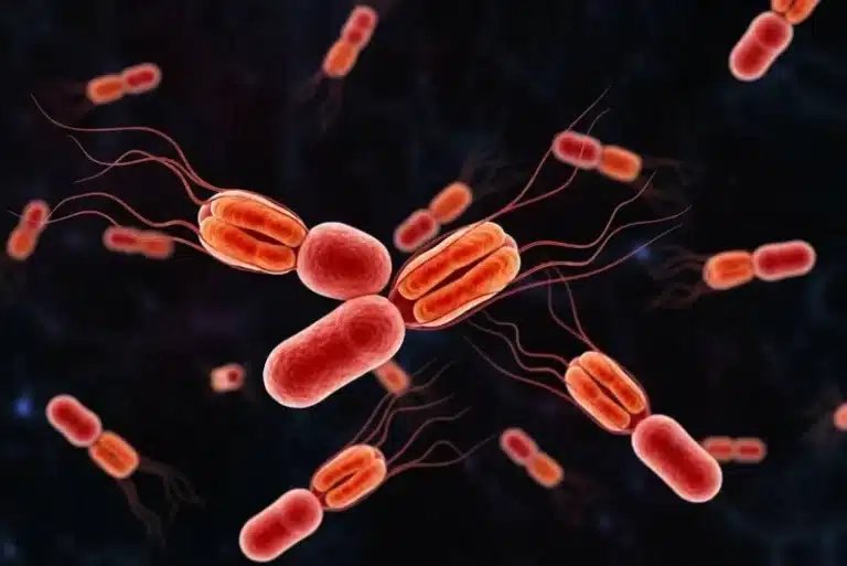 شیوع خاموش یک تهدید باستانی: سویه خطرناک حصبه در حال تسخیر جهان است