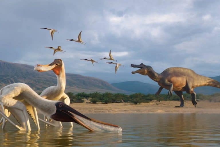 کشف عجیب در برزیل: گونه‌ای جدید از پتروسور در استفراغ فسیل‌شده دایناسور پیدا شد