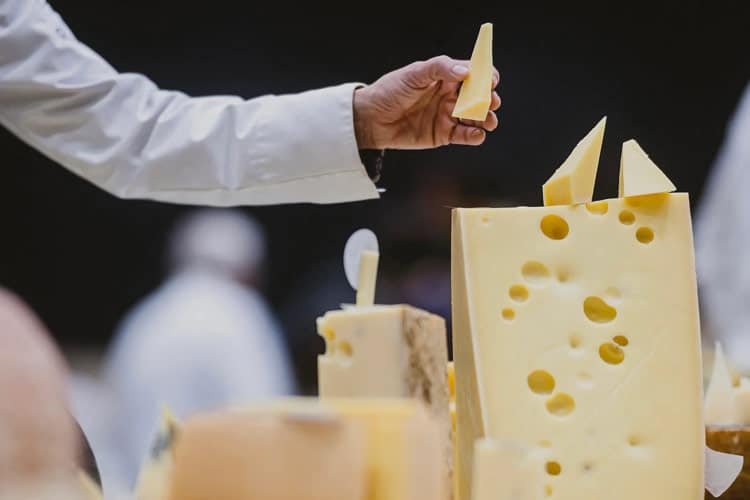 آیا پنیر پرچرب خطر زوال عقل را کاهش میدهد؟ بررسی نتایج یک مطالعه ۲۵ ساله