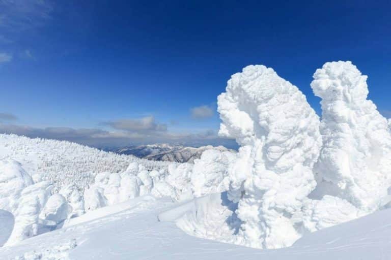 آیا ژاپن می‌تواند هیولاهای برفی معروف خود را نجات دهد؟