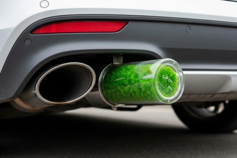 ابتکار دو دانش‌آموز؛ فیلتر جلبکی اگزوز خودرو که آلودگی هوا را کاهش می‌دهد