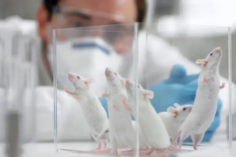 اگر موشهای آزمایشگاهی را در طبیعت قرار دهیم، چه اتفاقی میافتد؟