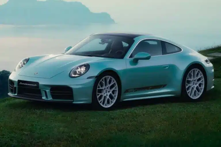 این مدل سفارشی پورشه ۹۱۱ با الهام از طبیعت ساخته شده است