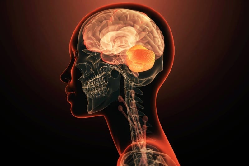 برای نخستینبار یک ژن واحد بهتنهایی عامل بیماری روانی شناخته شد