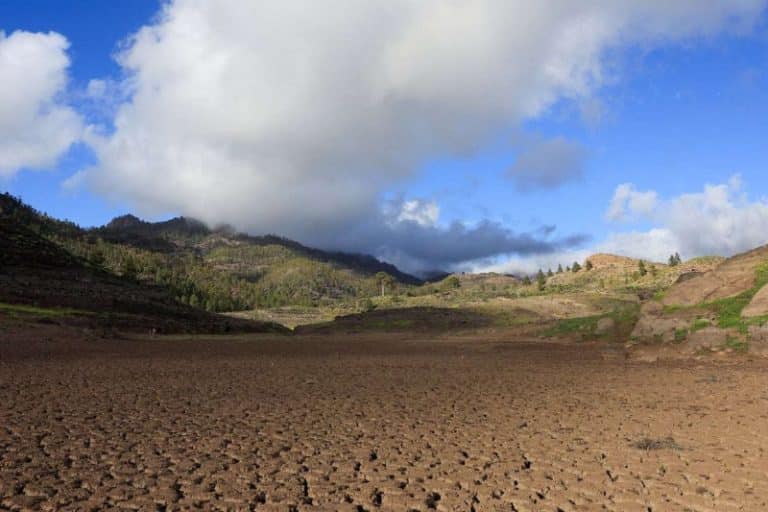 زنگ خطر خشکسالی در اروپا؛ داده‌های ماهواره‌ای از بحران آب در قاره سبز خبر می‌دهند