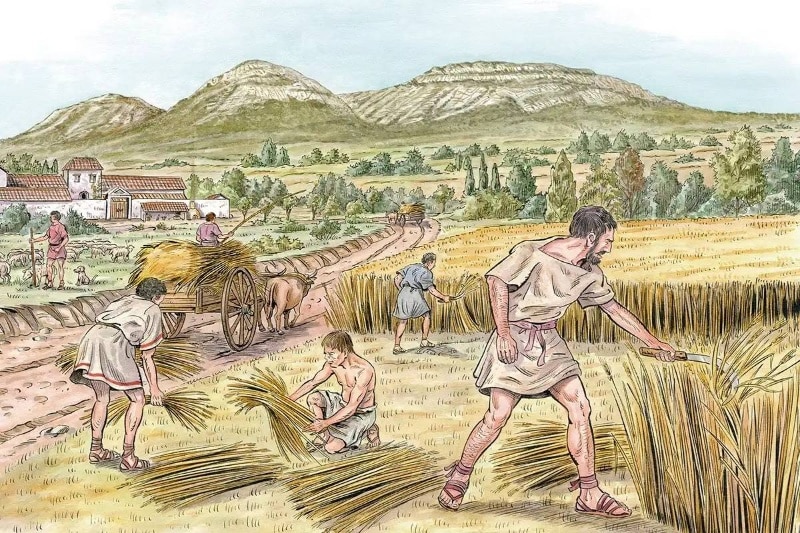 غلات قابل مالیات‌گذاری، راه را برای ایجاد دولت‌های اولیه هموار کردند