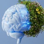 هوش مصنوعی جدید قوانین پنهان طبیعت را کشف میکند