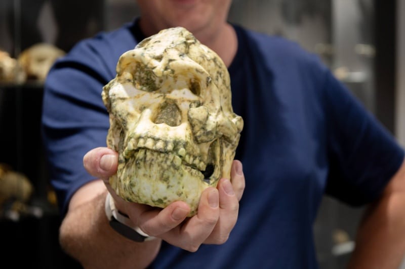 کشف شاخهای گمشده در درخت خانواده انسان: «پا کوچک» دقیقا کیست؟