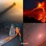 ۱۰ عکس شگفتانگیز برنده جوایز ۲۰۲۵ که باید ببینید