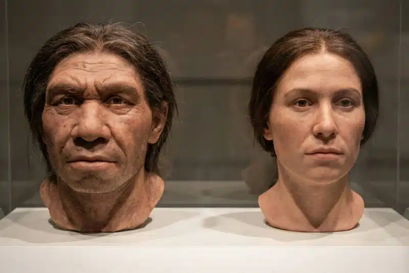 ۱۰ کشف شگفتانگیز درباره اجداد انسان در سال ۲۰۲۵