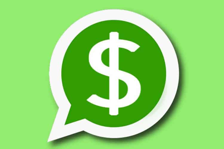 اشتراک ویژه واتساپ برای کاربران حرفهای در راه است