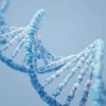 راز عمر طولانی، نهفته در ژنهای ما