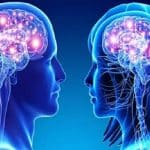 ناحیهای یکسان از مغز که در زنان و مردان «متفاوت» کار میکند!