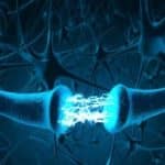 چگونه مغز بین «خاطرههای شخصی» و «واقعیتها» تفاوت میگذارد؟