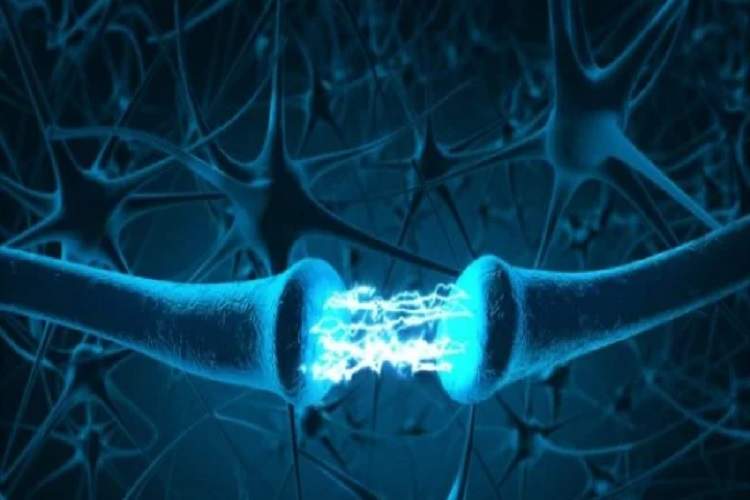 چگونه مغز بین «خاطرههای شخصی» و «واقعیتها» تفاوت میگذارد؟