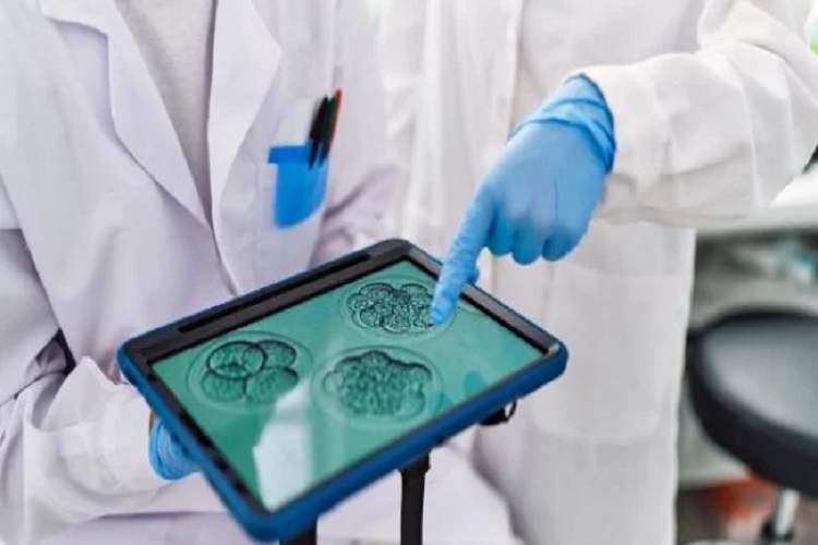 IVF ایمنتر، با امید بیشتر و ریسک کمتر