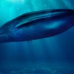 هیولای غول‌پیکری که فیل در دهانش جا می‌شود / عکس