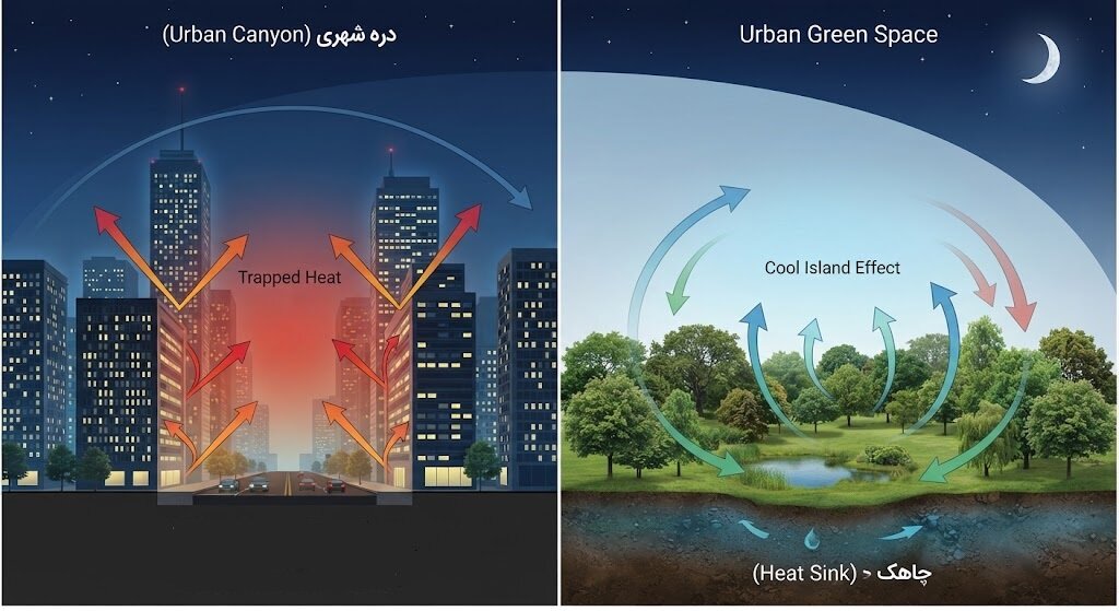 چرا گرمای امسال نمیخواهد تمام شود؛ ما خودمان عامل تداوم تابستان هستیم؟