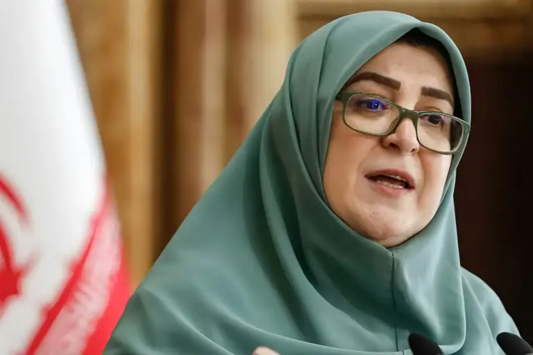 سخنگوی دولت: آیین‌نامه‌ حمایت از بازگشت نخبگان خارج از کشور
تصویب شد
