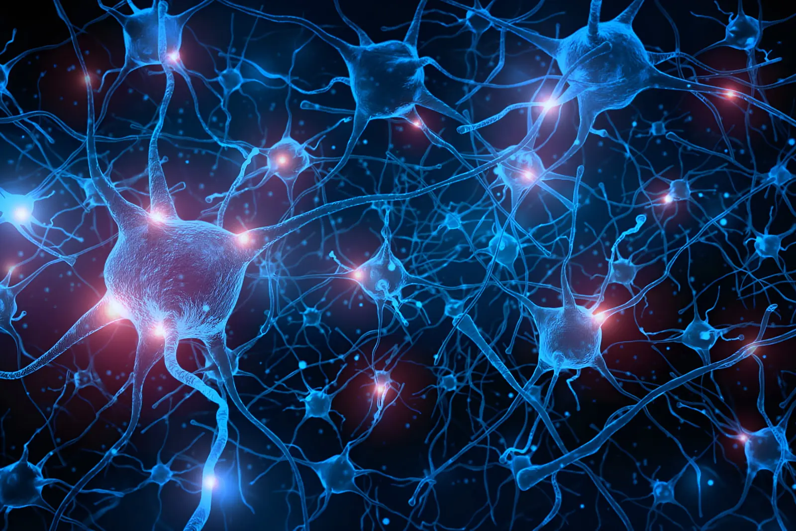 هوش مصنوعی در برابر مغزهای زنده؛ کامپیوترهای بیولوژیک با هم
«ذهن جمعی» می‌سازند