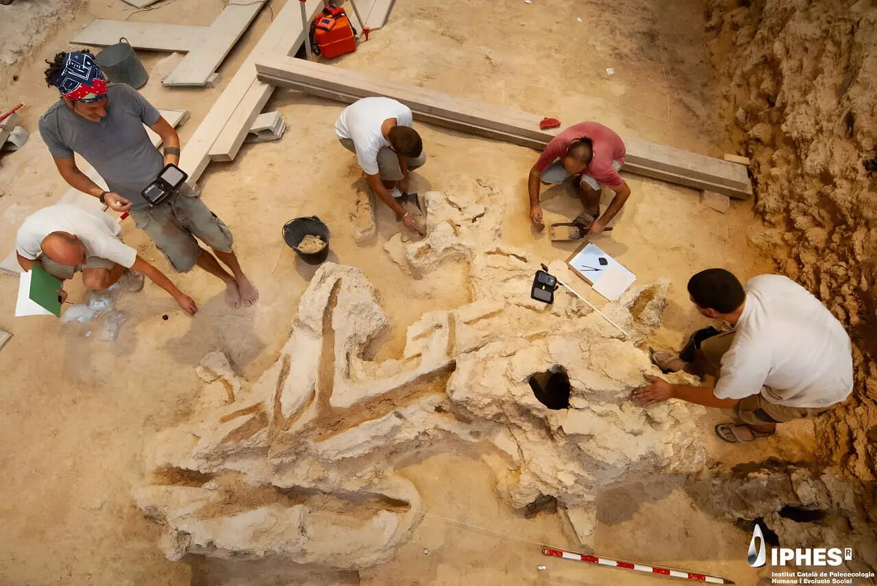 کشف ۵۹۷ اثر چوبی از نئاندرتال‌ها؛ شواهدی از ابزارسازی ۶۰ هزار ساله